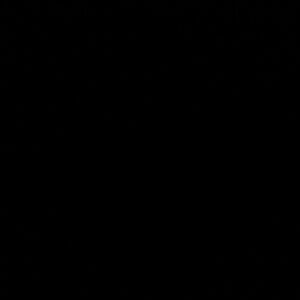 Meet your Posher, Shawnte